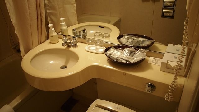20120614東京第一天--出發
