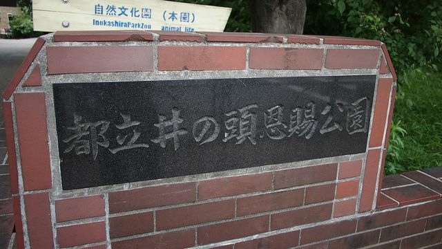 20120615東京第二天--尋找龍貓之旅