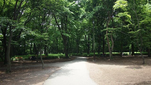 20120615東京第二天--尋找龍貓之旅