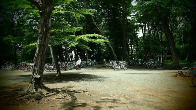 20120615東京第二天--尋找龍貓之旅