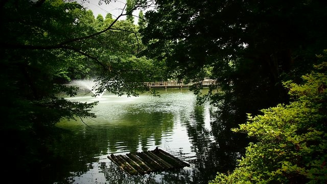 20120615東京第二天--尋找龍貓之旅