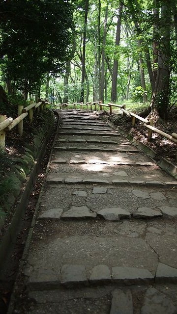 20120615東京第二天--尋找龍貓之旅