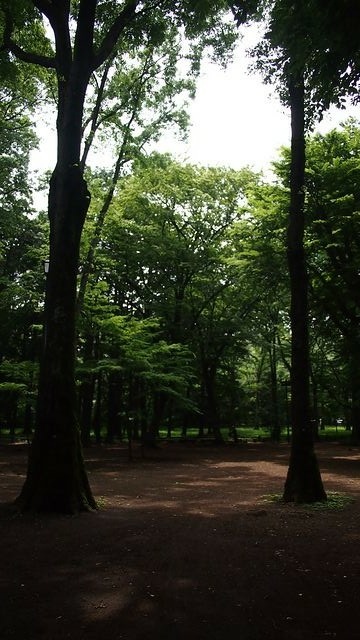 20120615東京第二天--尋找龍貓之旅