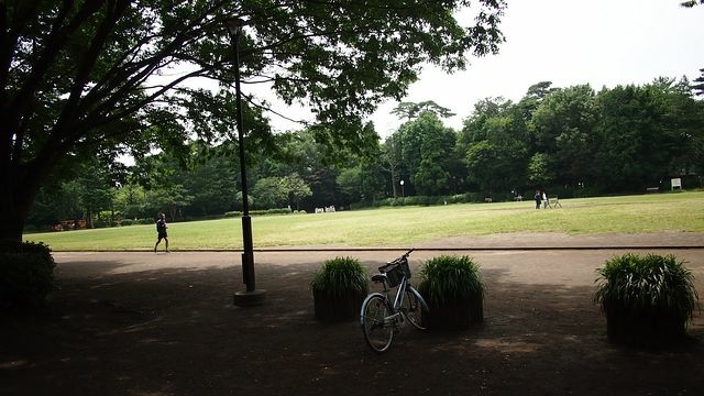 20120615東京第二天--尋找龍貓之旅