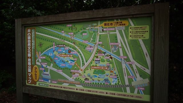 20120615東京第二天--尋找龍貓之旅