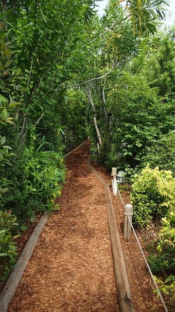 20120615東京第二天--尋找龍貓之旅