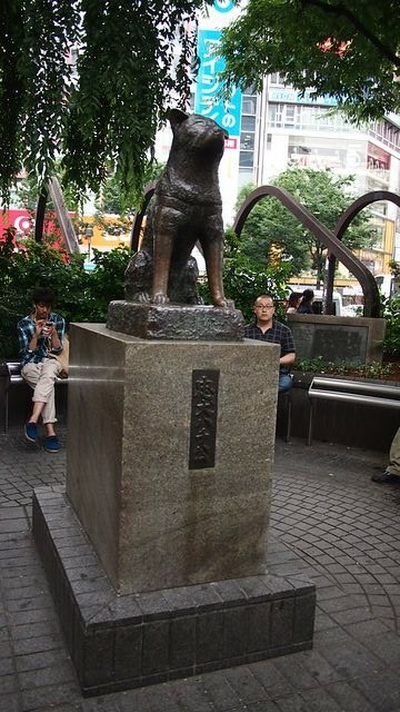 20120615東京第二天--尋找龍貓之旅