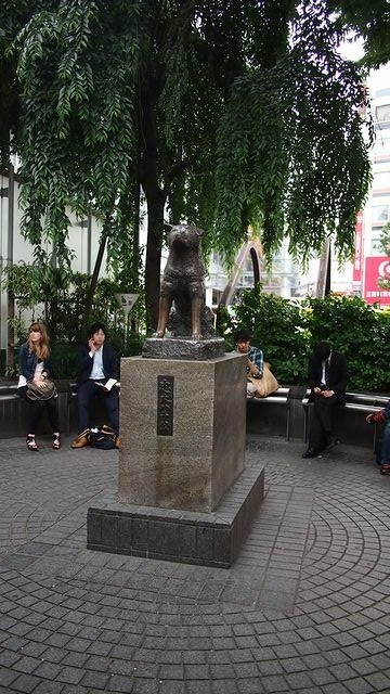 20120615東京第二天--尋找龍貓之旅