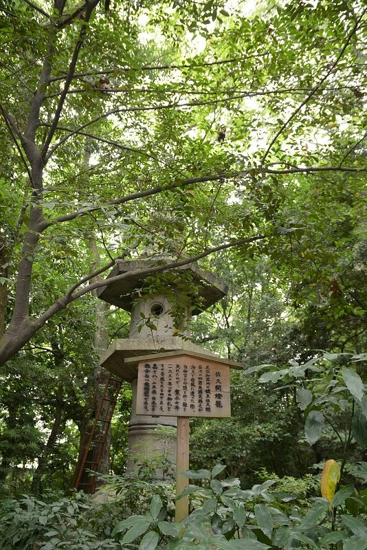 DSC_0195.jpg - 20150619 名古屋