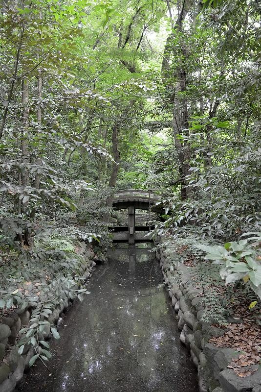DSC_0200.jpg - 20150619 名古屋
