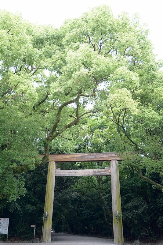 DSC_0210.jpg - 20150619 名古屋