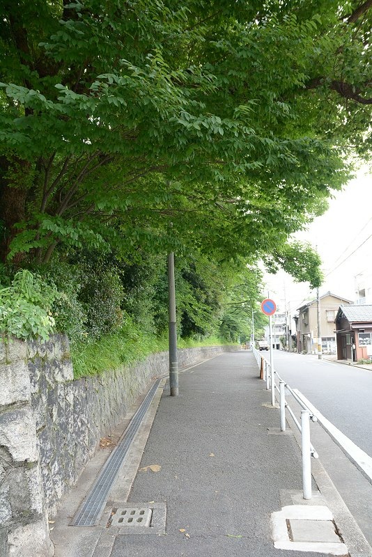 DSC_0251.jpg - 20150619 名古屋