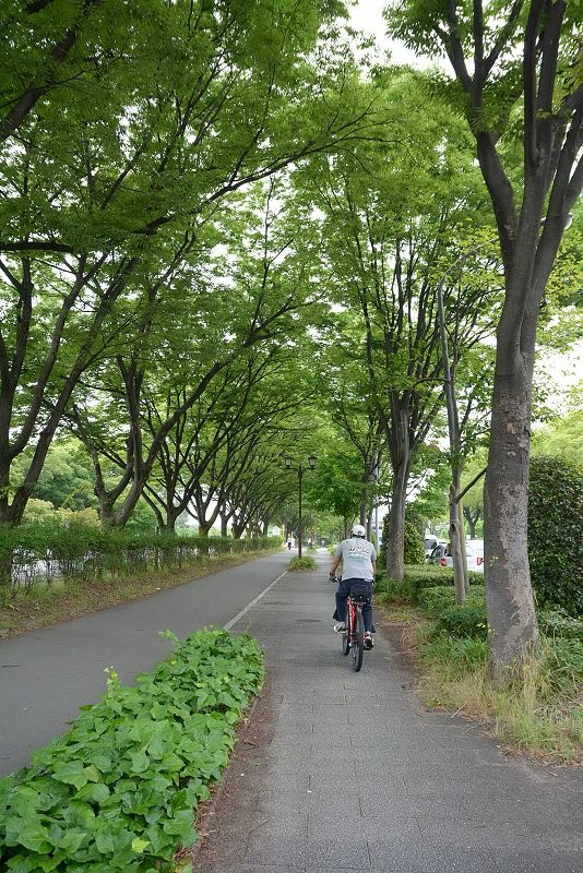 DSC_0281.jpg - 20150619 名古屋