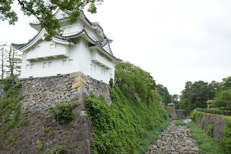 DSC_0294.jpg - 20150619 名古屋
