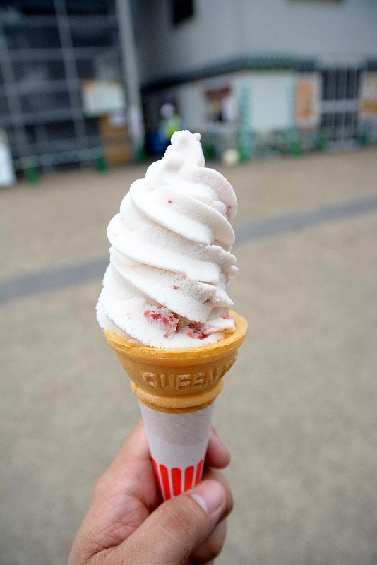 DSC_0315.jpg - 20150619 名古屋