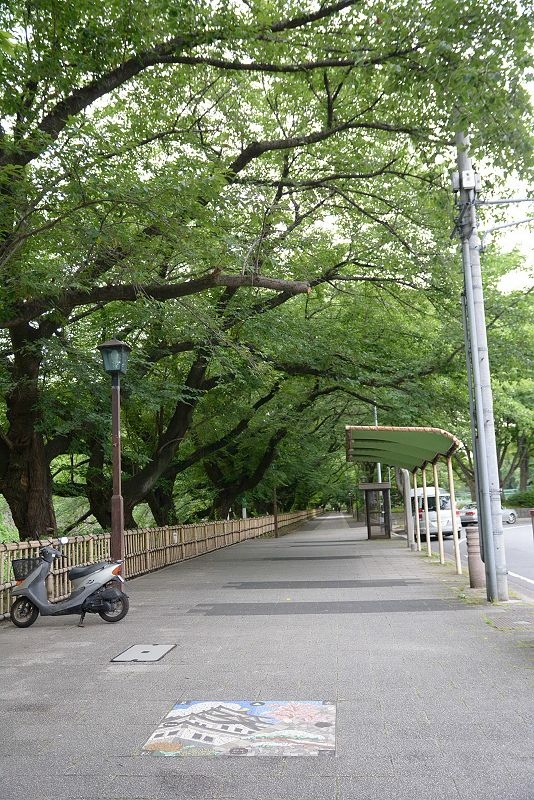 DSC_0377.jpg - 20150619 名古屋