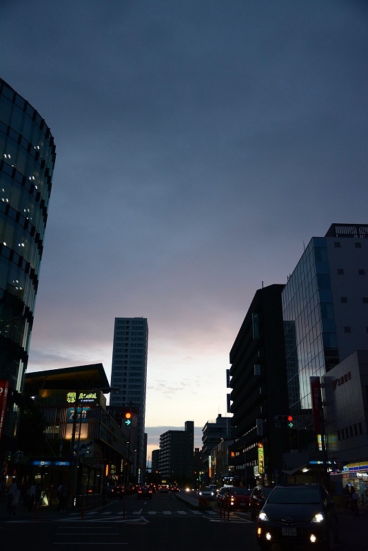 DSC_0445.jpg - 20150619 名古屋
