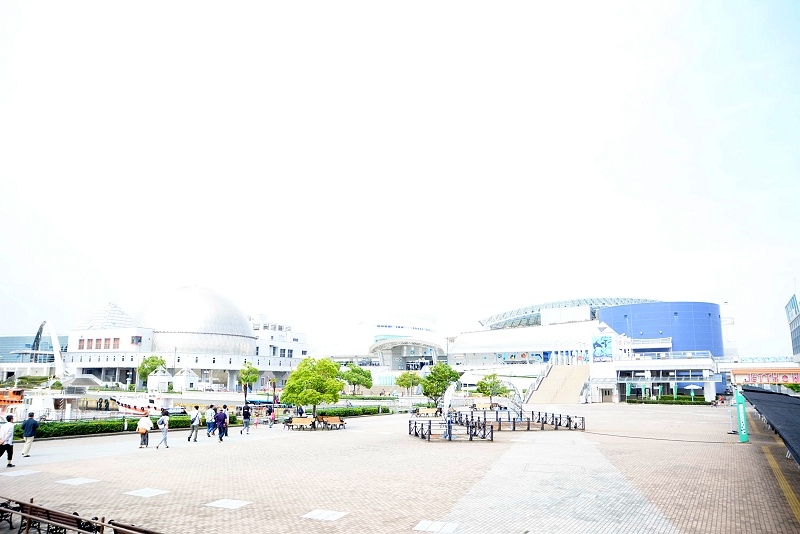DSC_0484.jpg -  20150620 名古屋 