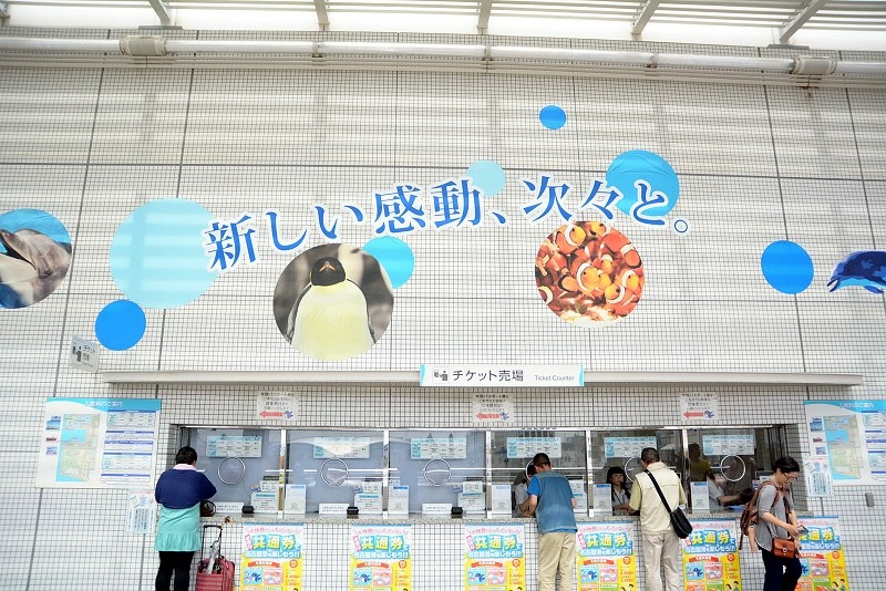 DSC_0504.jpg -  20150620 名古屋 