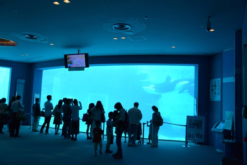 DSC_0511.jpg -  20150620 名古屋 