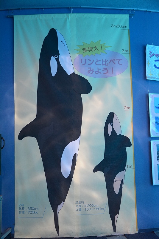 DSC_0518.jpg -  20150620 名古屋 