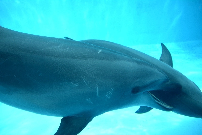 DSC_0527.jpg -  20150620 名古屋 