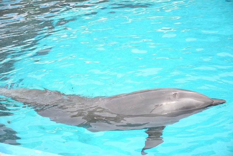 DSC_0569.jpg -  20150620 名古屋 