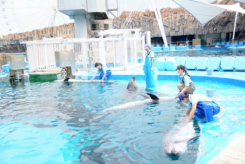 DSC_0572.jpg -  20150620 名古屋 