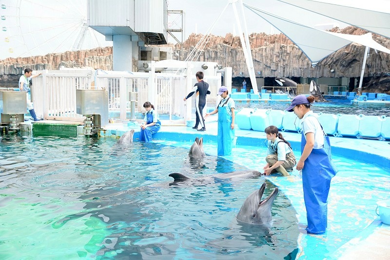 DSC_0574.jpg -  20150620 名古屋 