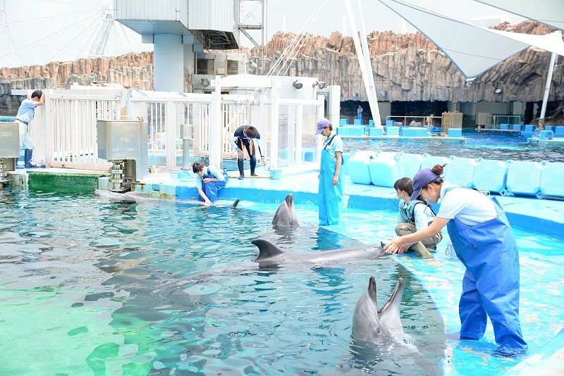 DSC_0576.jpg -  20150620 名古屋 