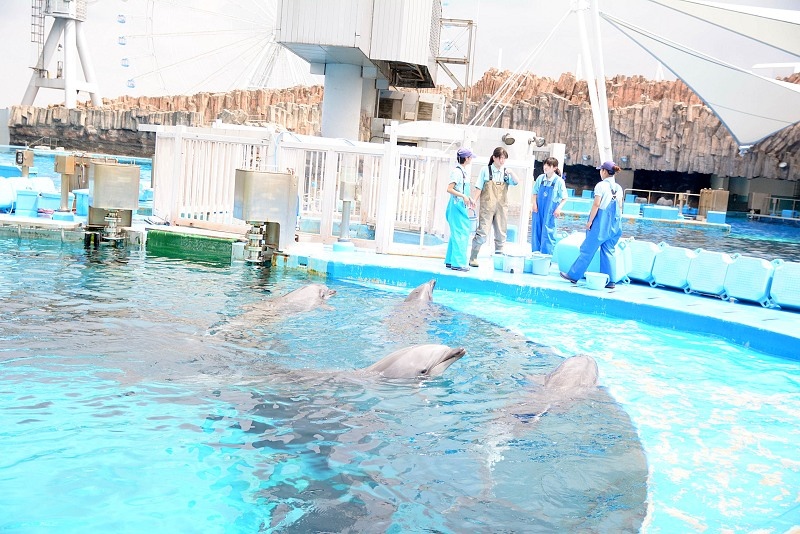 DSC_0578.jpg -  20150620 名古屋 