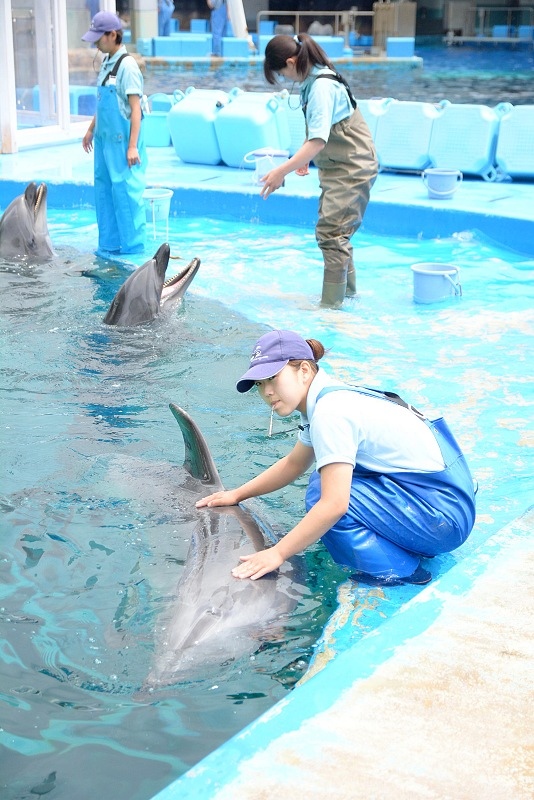 DSC_0579.jpg -  20150620 名古屋 