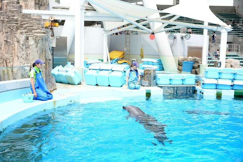 DSC_0585.jpg -  20150620 名古屋 