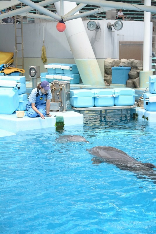 DSC_0586.jpg -  20150620 名古屋 