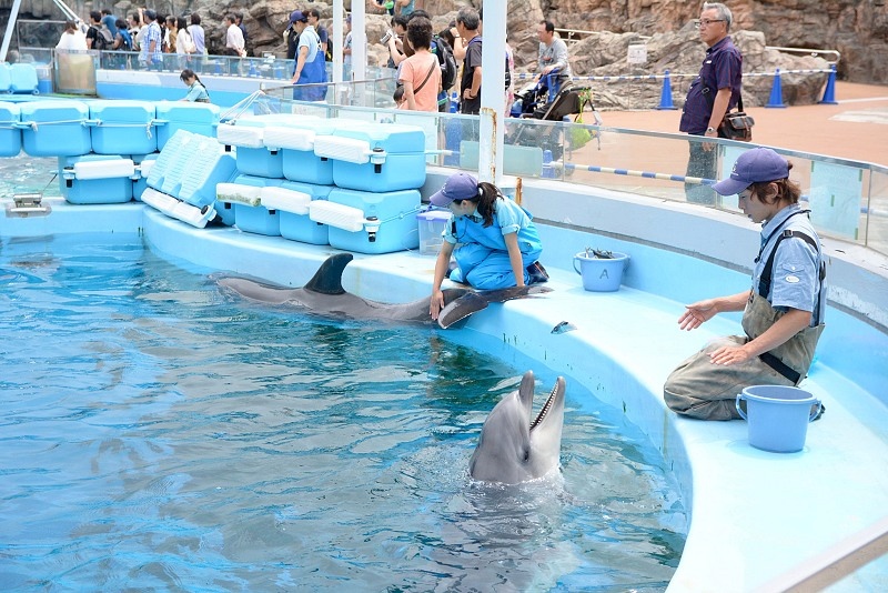DSC_0589.jpg -  20150620 名古屋 