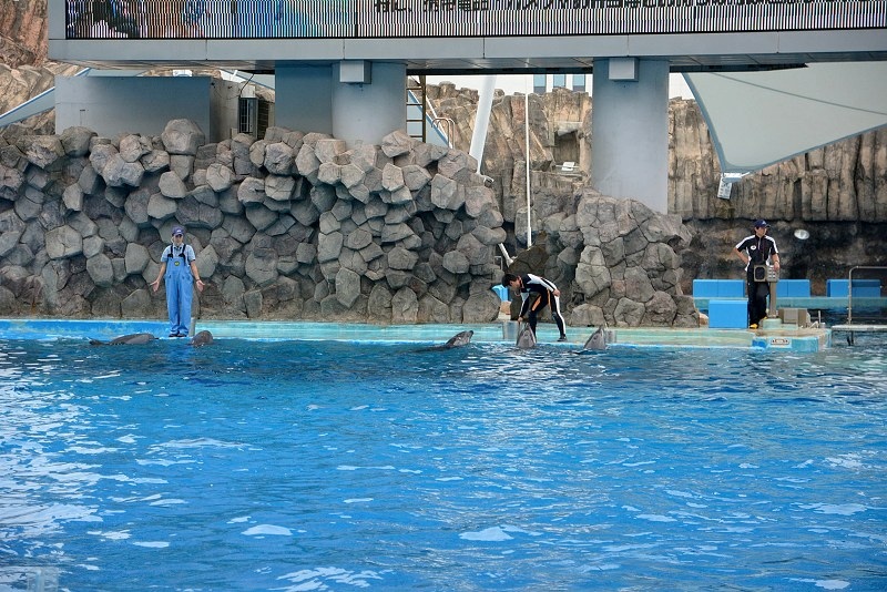 DSC_0598.jpg -  20150620 名古屋 