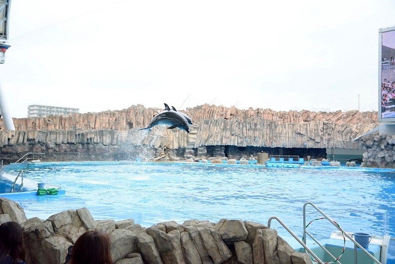 DSC_0605.jpg -  20150620 名古屋 