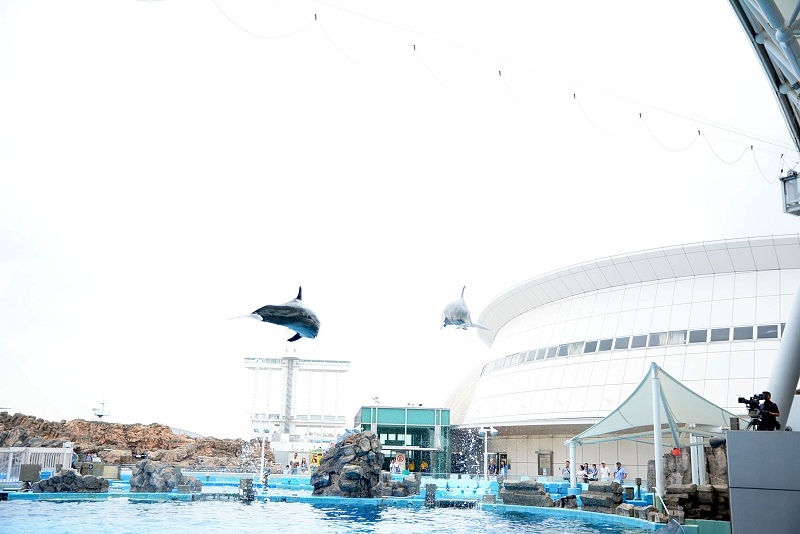 DSC_0607.jpg -  20150620 名古屋 