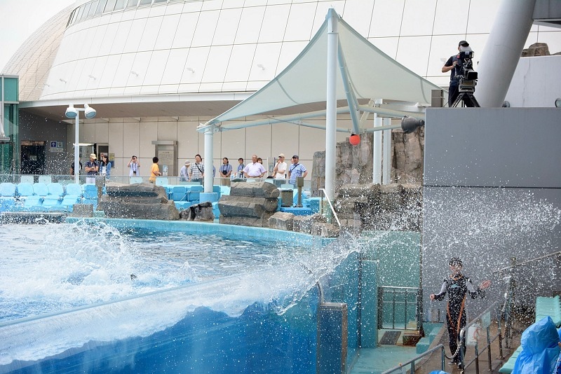 DSC_0618.jpg -  20150620 名古屋 