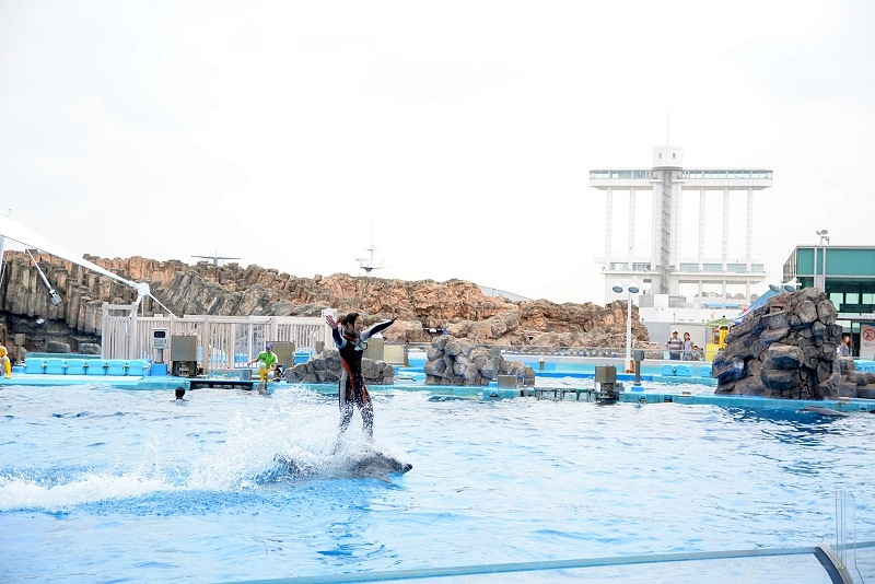 DSC_0622.jpg -  20150620 名古屋 