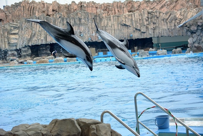 DSC_0623.jpg -  20150620 名古屋 