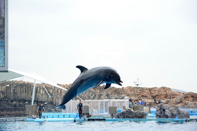 DSC_0624.jpg -  20150620 名古屋 