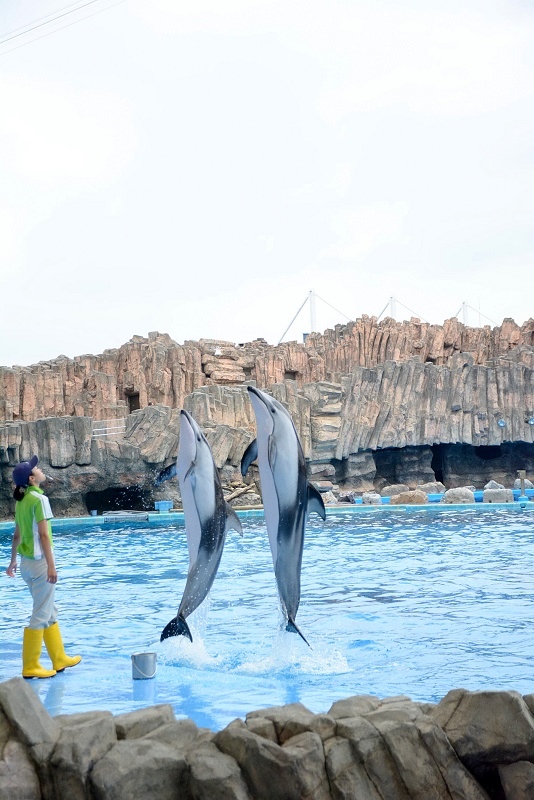 DSC_0626.jpg -  20150620 名古屋 