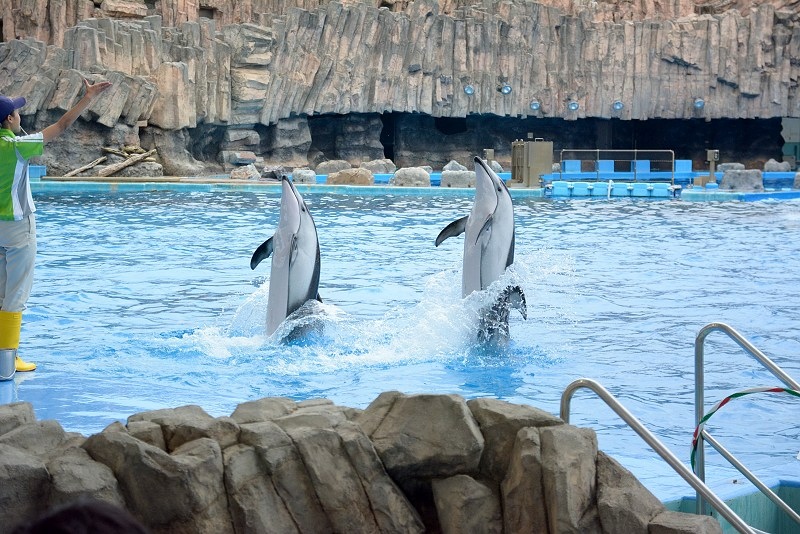 DSC_0627.jpg -  20150620 名古屋 
