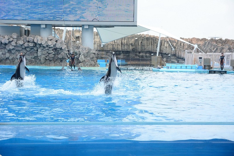 DSC_0629.jpg -  20150620 名古屋 
