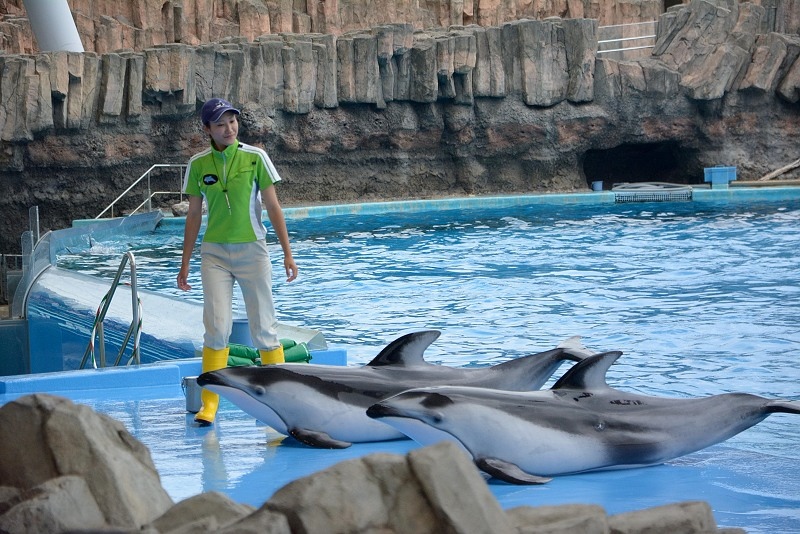 DSC_0631.jpg -  20150620 名古屋 