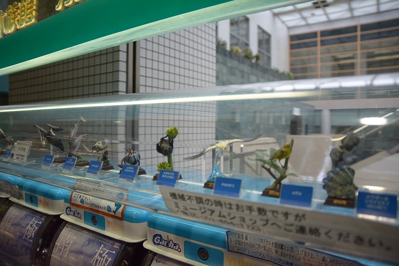 DSC_0649.jpg -  20150620 名古屋 