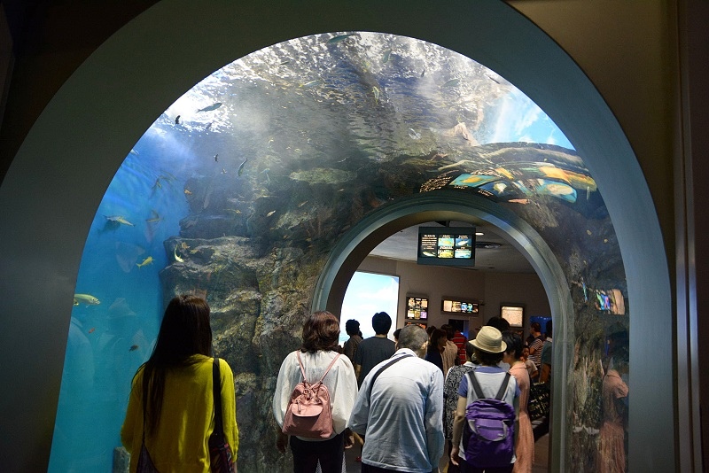 DSC_0655.jpg -  20150620 名古屋 