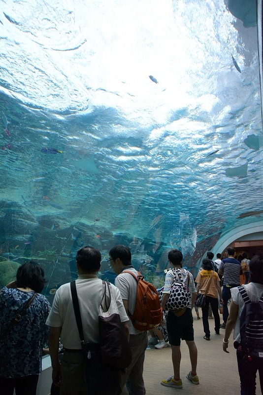 DSC_0665.jpg -  20150620 名古屋 