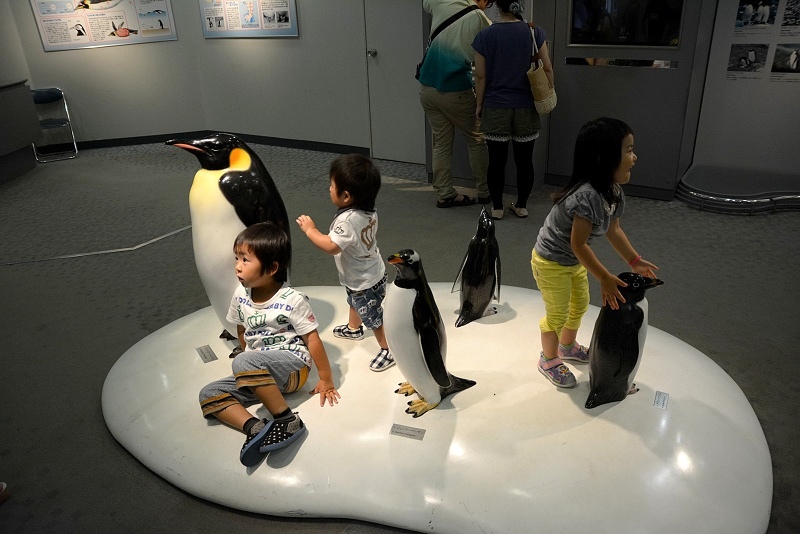 DSC_0688.jpg -  20150620 名古屋 